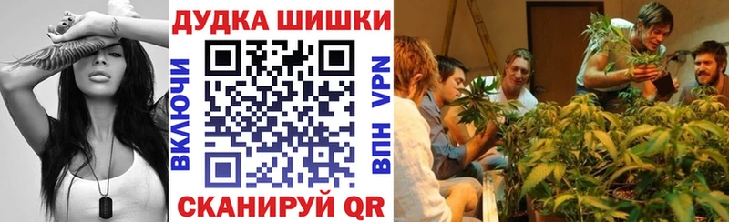 Бошки Шишки Зерноград