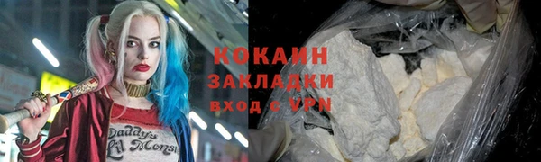 прущие крисы Горняк