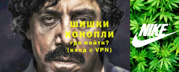 дурь Лиски